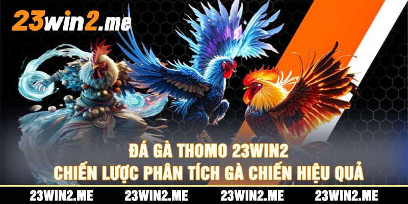 Đá Gà Thomo 23Win2 Chiến Lược Phân Tích Gà Chiến Hiệu Quả