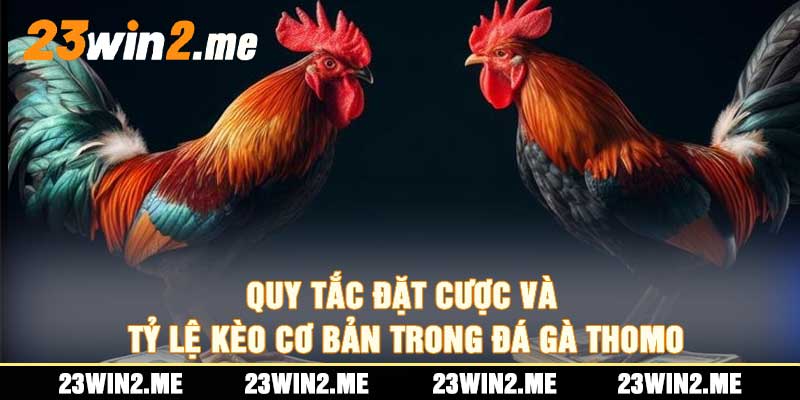 Quy Tắc Đặt Cược và Tỷ Lệ Kèo Cơ Bản Trong Đá Gà Thomo